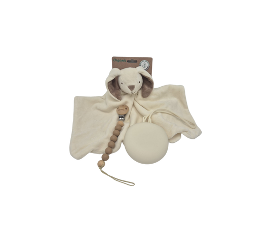 Ontwerp zonder titel (27)